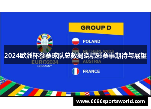 2024欧洲杯参赛球队总数揭晓精彩赛事期待与展望